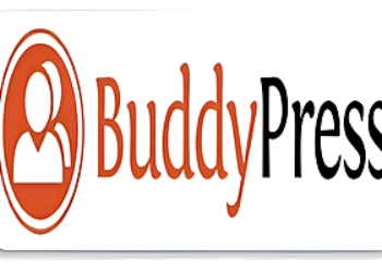 PLUGINWORDPRESS-BUDDYPRESS PRO 10.1.0